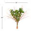 Feuilles de feuillage vert Eliana