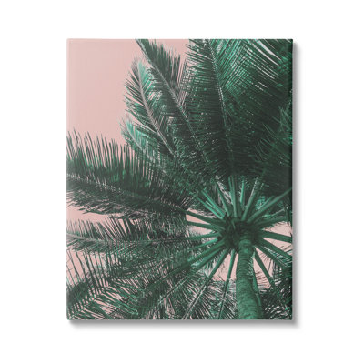 «Summer Overhead Palm Tree», art mural par Lil 'Rue