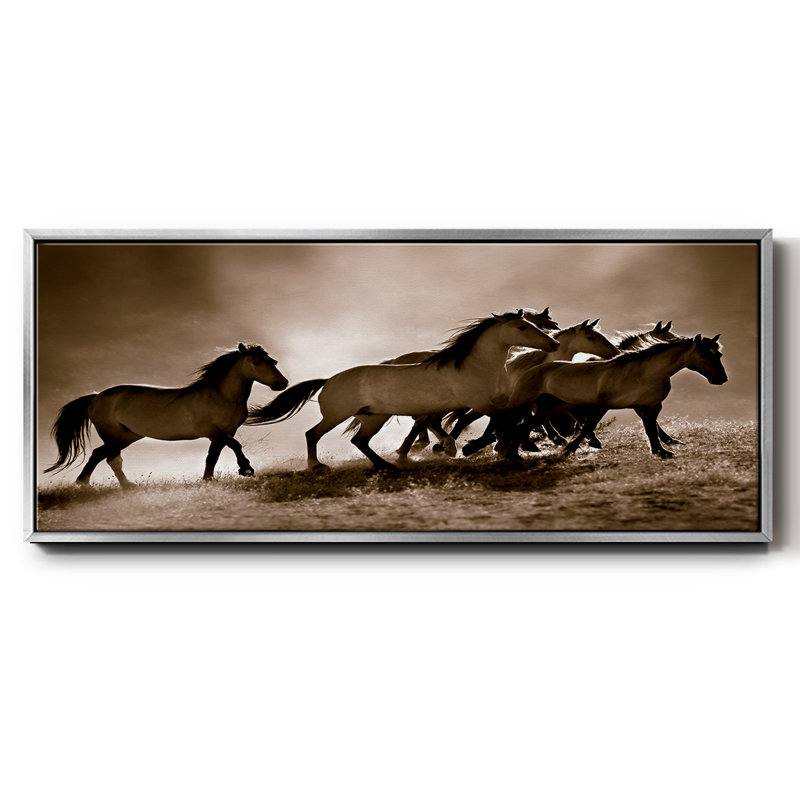 Chevaux sauvages - toile encadrée, H 20 po x l 50 po