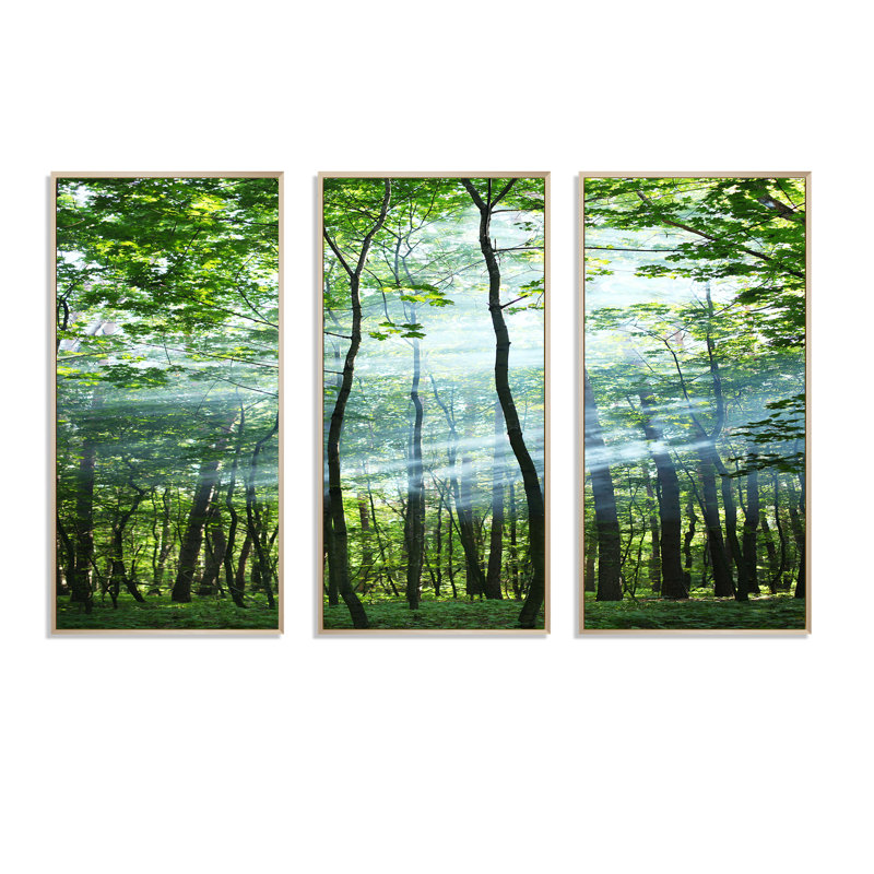 «Green Sunny Forest», photographie flottante sur toile 3 pièces, H 32 po x l 48 po x P 1 po, Érable encadré