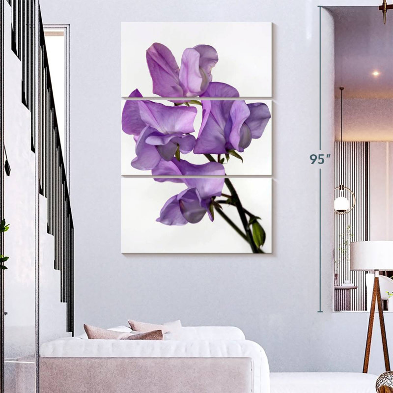 Fleurs de pois Harnek, H 57 po x l 36 po