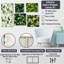 Meka - Ensemble de 5 impressions murales sur plantes-103333533