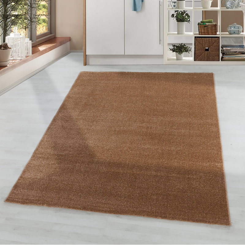 Eustache Solid Colour Flatweave Area Rug, Rectangle 160 x 230cm