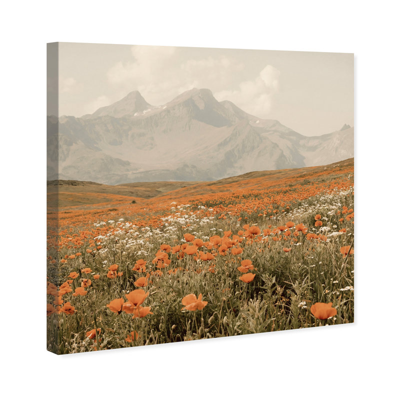 Orange Poppies by Oliver Gal, 12" H x 12" W, Gallery Wrapped