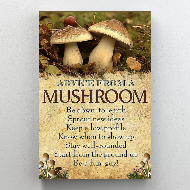 "Conseils d'un champignon sur toile", impression, H 20 po x l 16 po x P 1,25 po