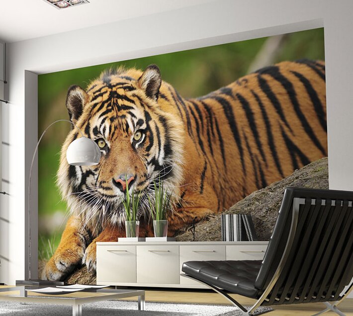 Fototapete Sumatra -Tiger 193 cm x 250 cm