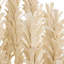 Kaia 6 - Light Chandelier