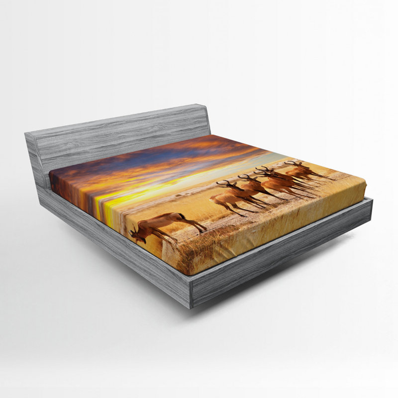 Drap-housse Safari, Drap-housse de taille double