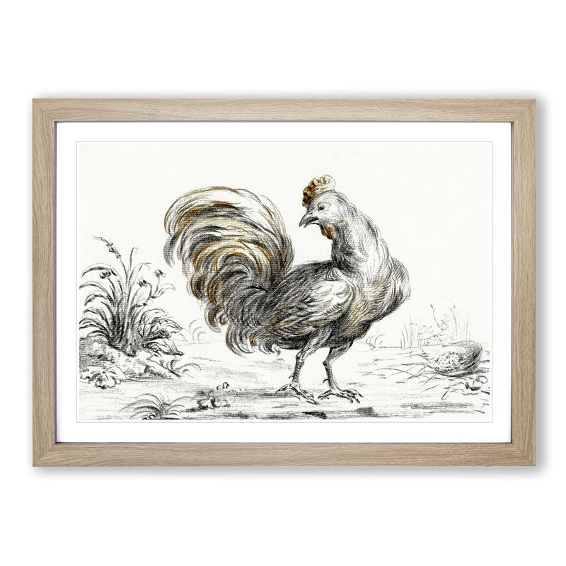 Rooster by Jean Bernard - Picture Frame Graphic Art Print, 35cm H x 50cm W x 2cm D, Oak