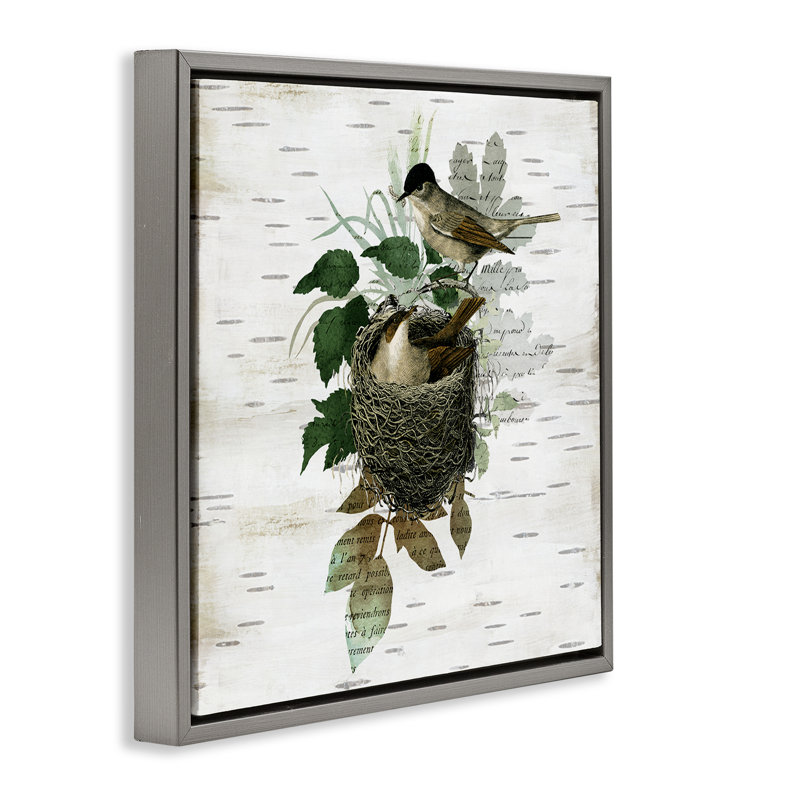 Oiseaux dans un cadre flottant nid rétro, design par Susan Arnot, H 18 po x l 18 po, Cadre flottant gris lustré