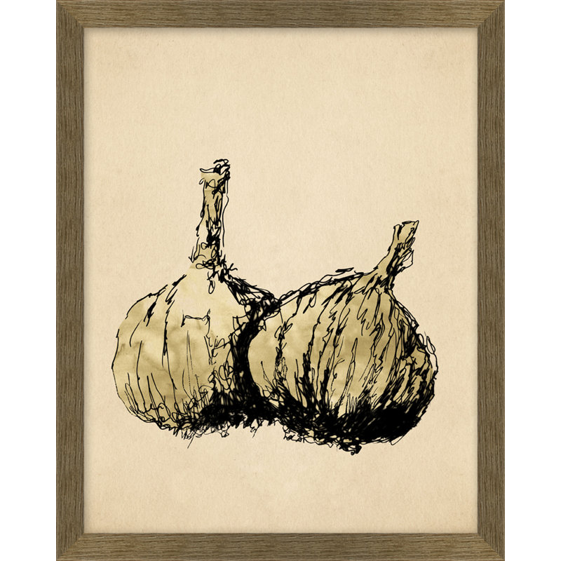 Sketched Garlic Print by Nathan Turner
