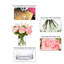 Arrangements floraux mixtes dans un vase-444457803