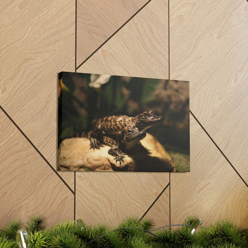 «Alligator Couple», impression d'art mural, H 12 po x l 18 po