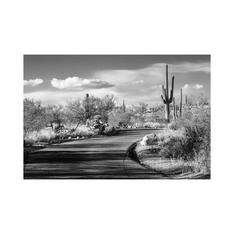 Noir Arizona Series - Desert Road-PHD1484, H 26 po x l 40 po x 1,5 po