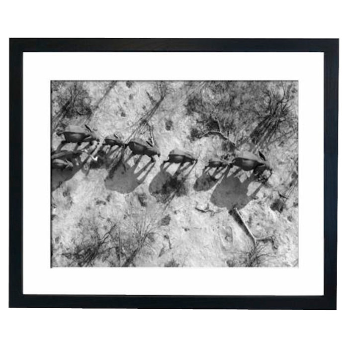 Single Picture Frame Print