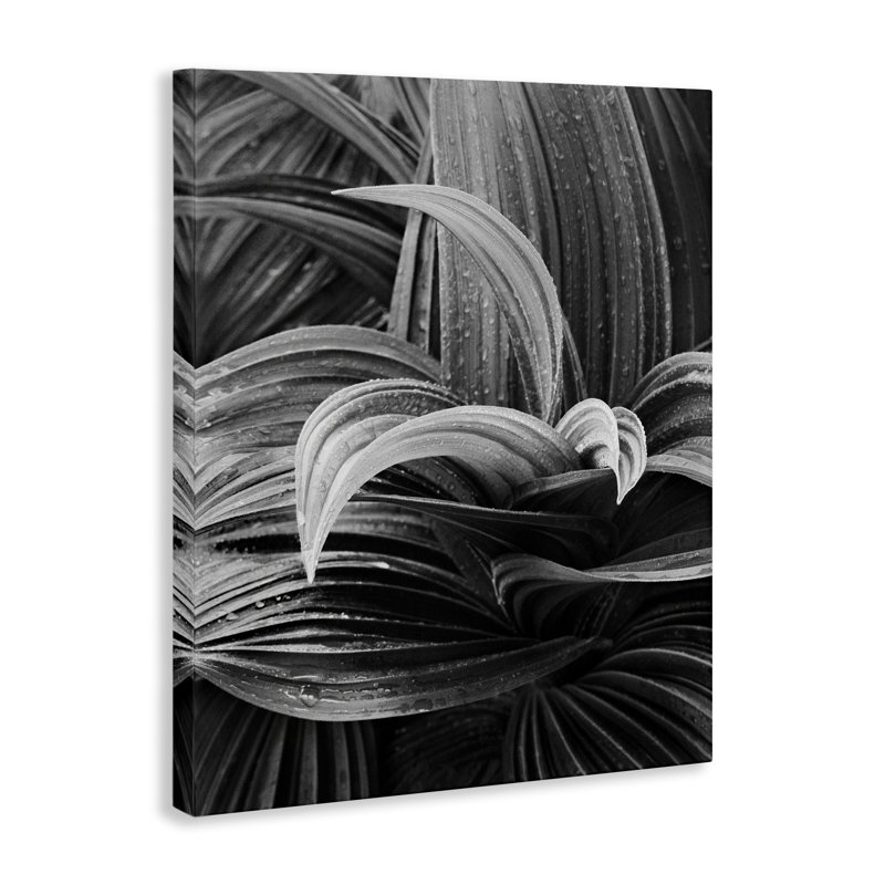 «Wet Leaves», art mural sur toile par Chip Forelli, H 40 po x l 30 po