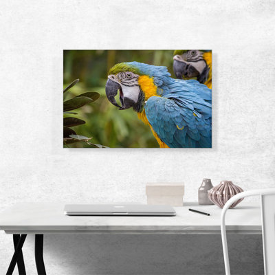 Macaw Home Decor - Reproduction de photo sur toile tendue