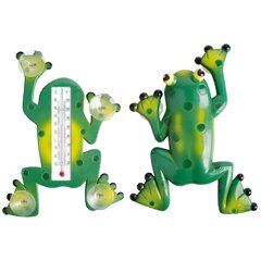 Climbing Green Frog Small Window Thermometer – Wild Bird Station Online
