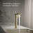 Single-Handle Bathroom Faucet with Drain Assembly-93399392
