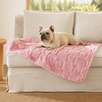 Bedsure Cozy Indoor Dog Blanket for Large Dogs & Cats, Premium 300GSM Coral Fleece, Fluffy Soft Washable Pet Throw