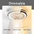 Huntland 23'' Ceiling Fan with LED Lights-792673300