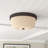 Alejandre Glass Flush Mount-22826493