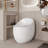 Egg Shape Smart Toilet, Single Flush, 1.28 GPF