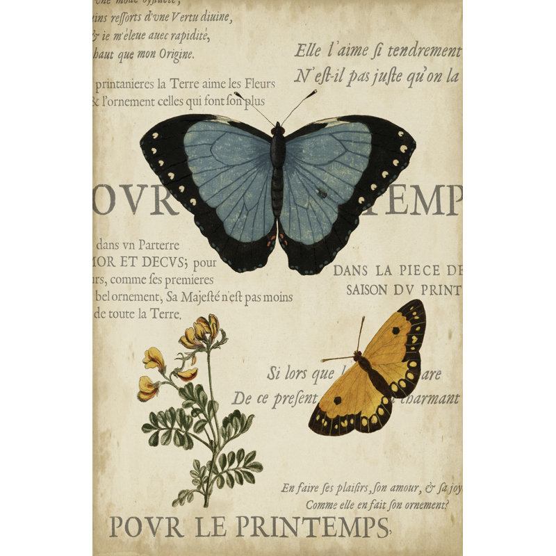 Specimen Of Natural Beauty I by Vision Studio - Wrapped Canvas Art Prints, 46cm H x 30cm W x 3.8cm D