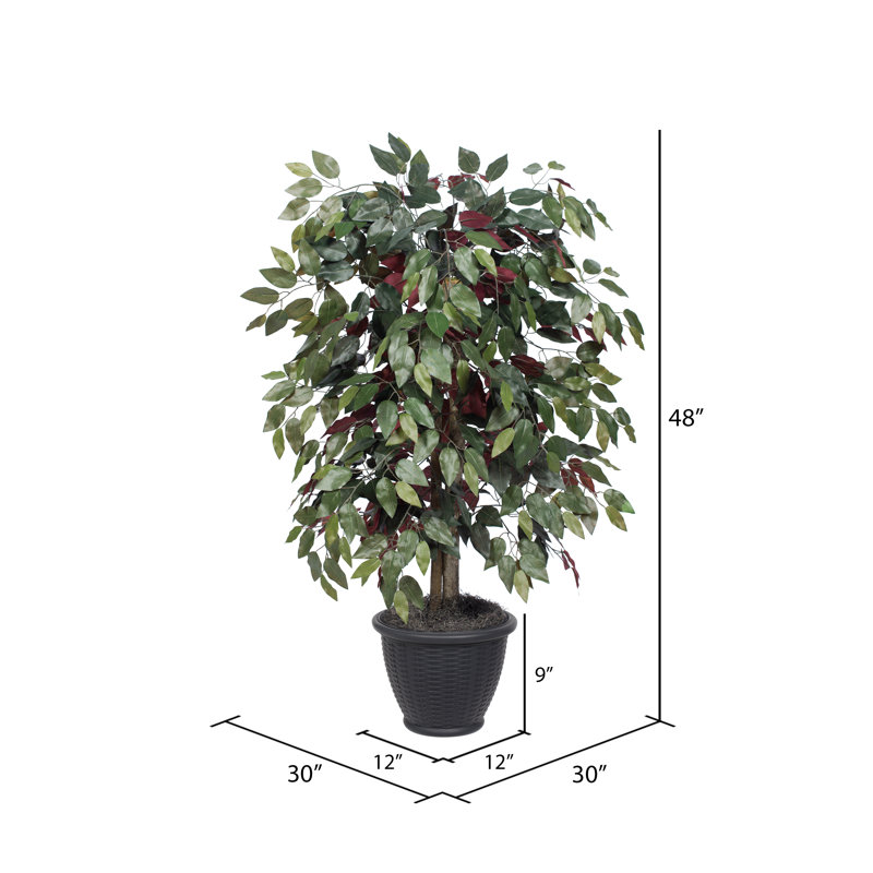 4' Artificial Capensia Bush, Rattan Basket