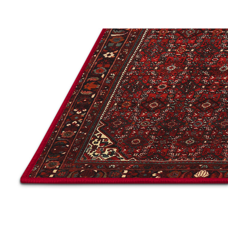Cassaundra Oriental Indoor Rug, Rectangle 8' x 12'