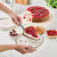 10.5-Inch Stainless Steel Pie/Cake Server