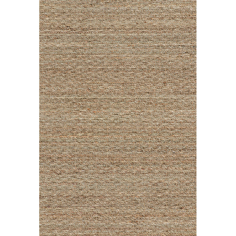 Area Rug in Brown