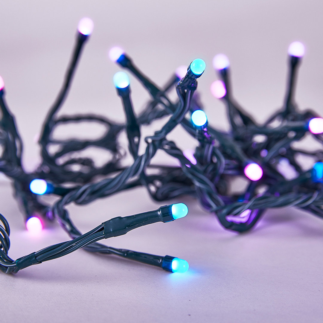 50 - Bulb 195.6'' Plug-in LED Wide Angle LED String Light (Set of 6) Polygroup Trading Ltd