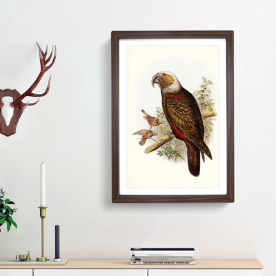 Ka-Ka Parrot by Elizabeth Gould - Picture Frame Graphic Art Print