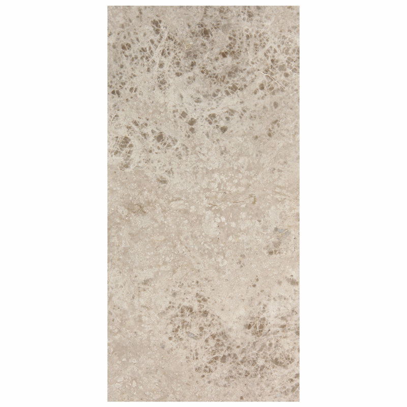 Silver Galaxy 12" x 24" Marble Field Tile in Grey