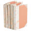 5 Piece Hide Metallic Decorative Book Set