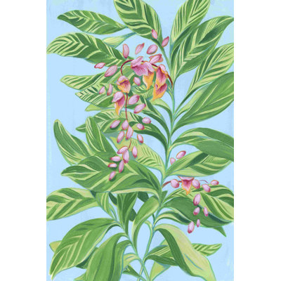 «Tropical Shell Ginger II», reproduction sur toile tendue