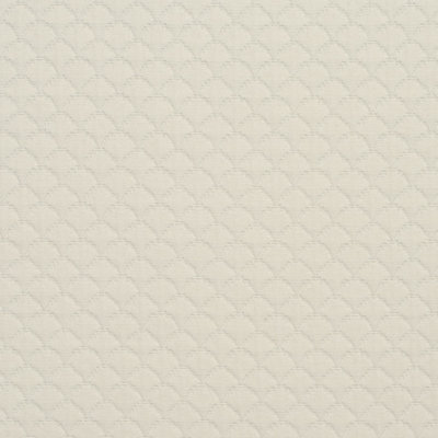 Tissu de coquillage