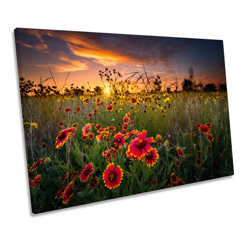Sunset Wild Floral Flowers - Wrapped Canvas Art Prints, 30.5cm H x 45.7cm W