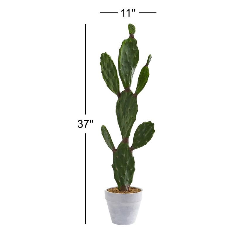 31 "plante de cactus artificielle en pot
