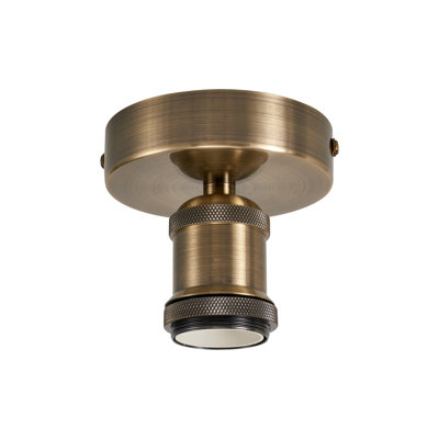 Canella Spotlight