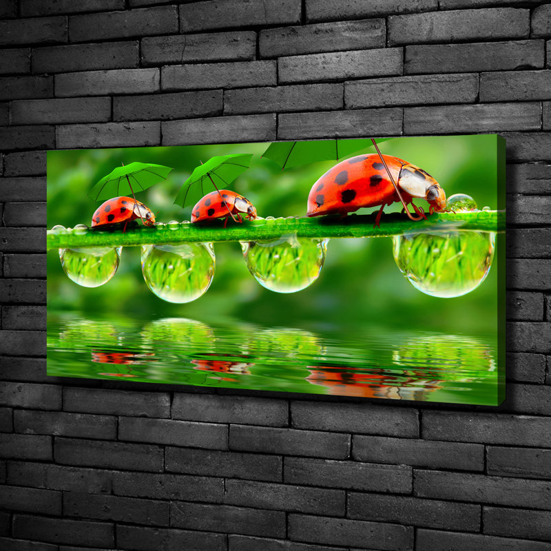 Ladybug Umbrellas - No Frame Print on Canvas