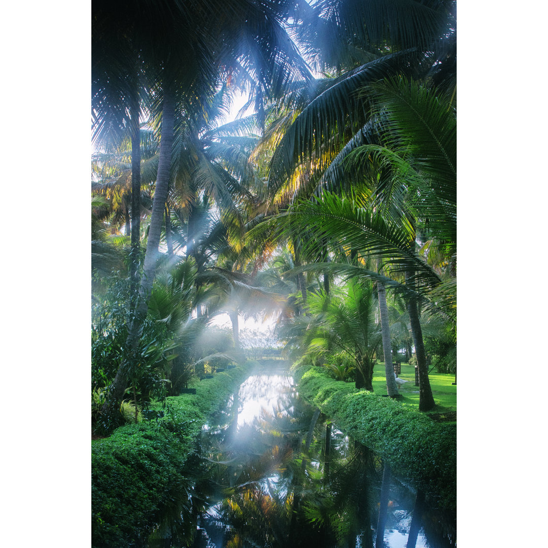 Die Kerala Backwaters in Indien von Powerofforever - Leinwandbild