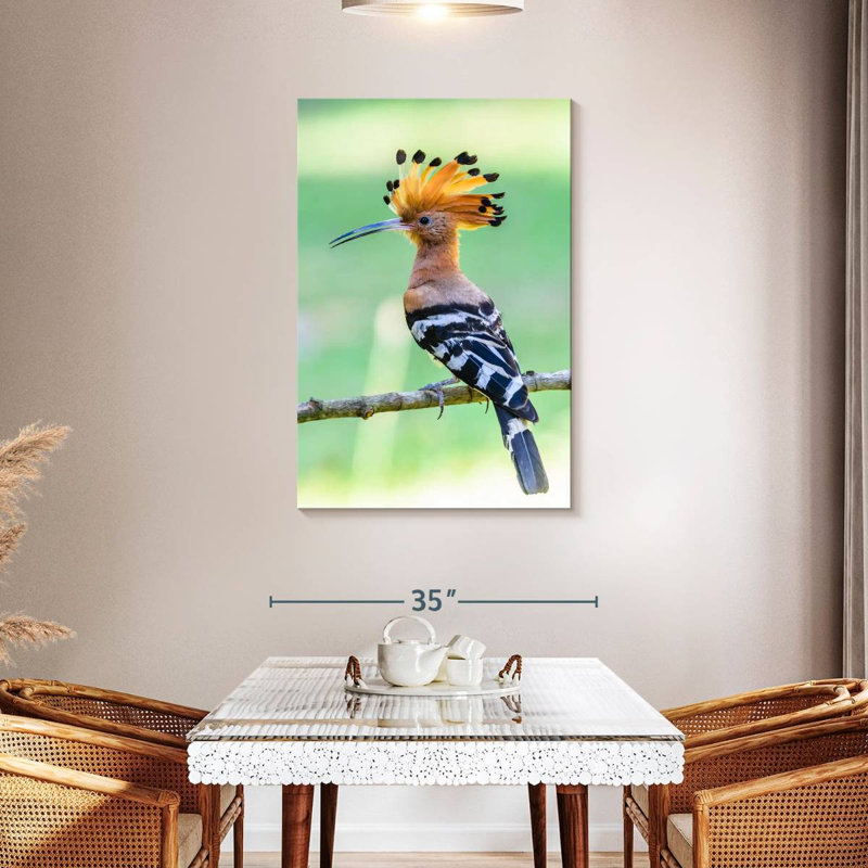 Brampt Common Hoopoe, 45" H x 30" W