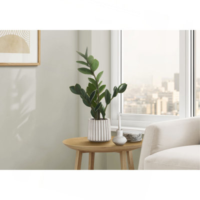 Artificial Plant,Zz, Indoor, Faux, Fake, Table, Greenery, Potted, Real Touch, Decorative, Green Leaves, Grey Cement Pot