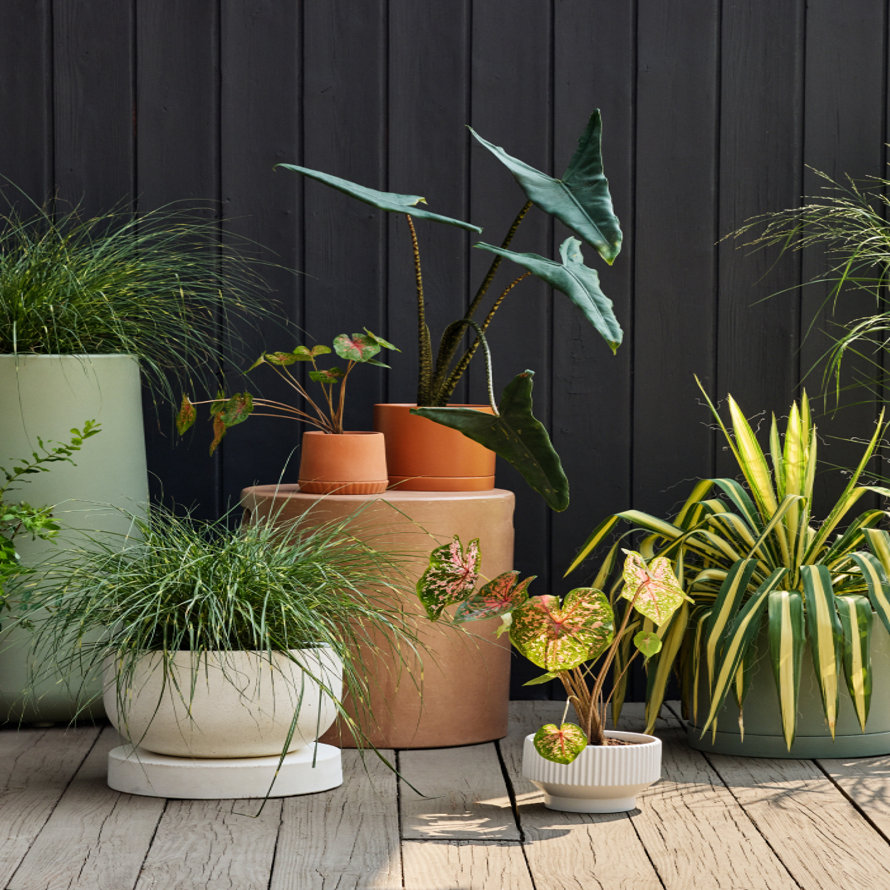 Outdoor Planters