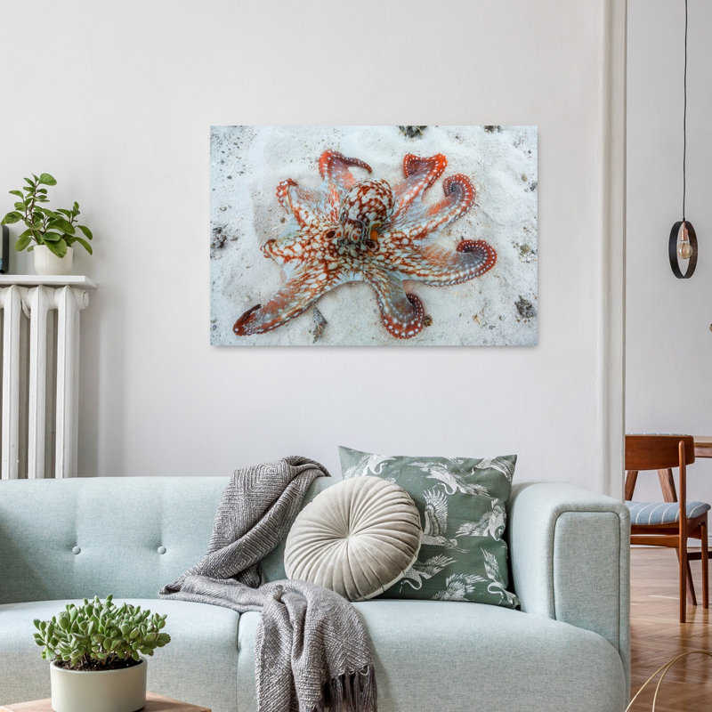 Speckled Octopus On Sand Contemporary Octopus Nature Ocean Wall Art Print 1 Piece Wrapped Canvas Wall Art