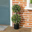 Anaston 70cm Faux Two-Ball Tree With Lavender Flowers Plant in Pot-1747489846