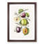 Illustration of Prunes - Picture Frame Graphic Art Print-55642069-55642065