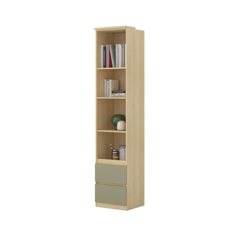 Bischoff 215 cm H x 45 cm W Bookcase, Eucalyptus